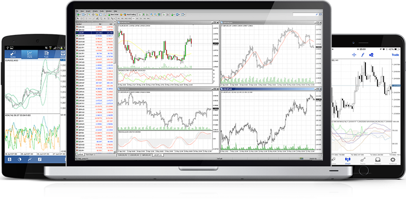 プラットフォームイメージ